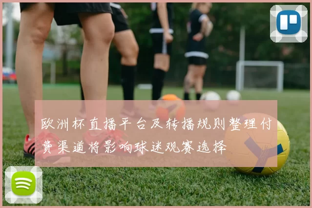 欧洲杯直播平台及转播规则整理付费渠道将影响球迷观赛选择