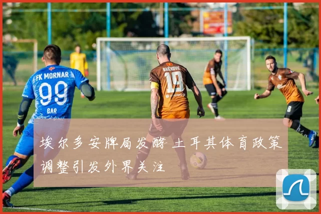 埃尔多安牌局发酵 土耳其体育政策调整引发外界关注