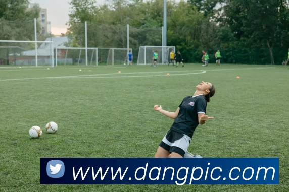 完美体育在线登录入口(中国) - 官方网站APP 封面图